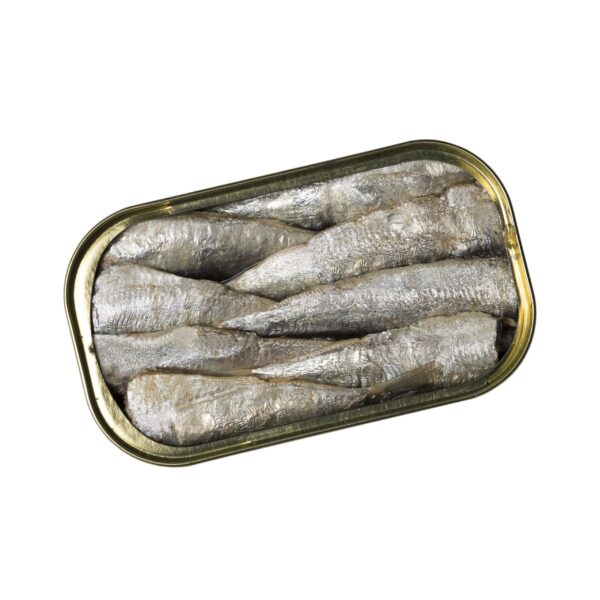 LITTLE SARDINE - Image 2