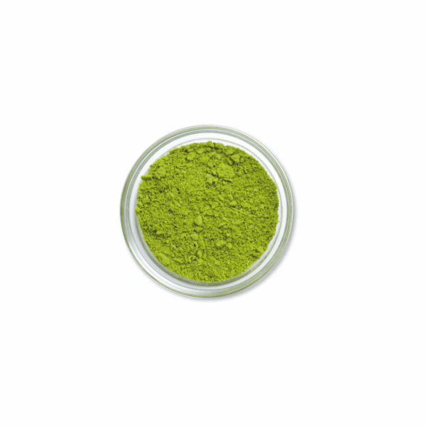 Pesto Powder 40g – Cryo-Dried Italian Pesto Spice | Premium Food Thailand