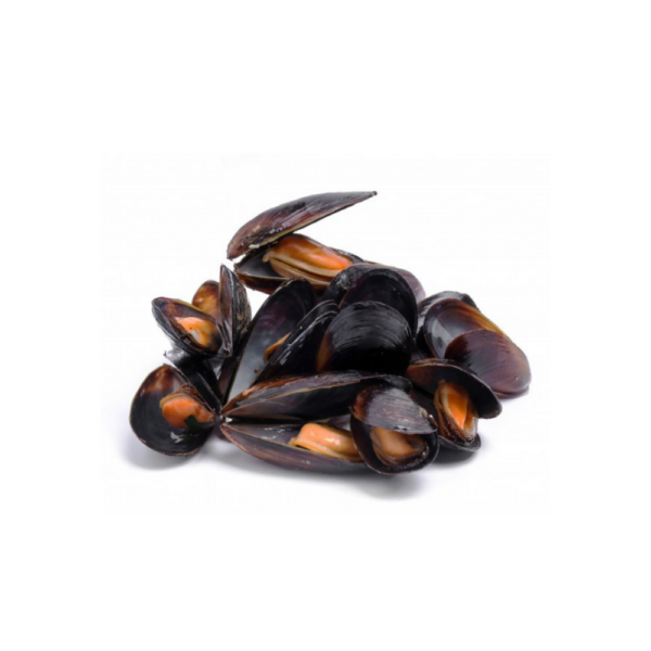 MUSSEL CHILE FROZEN