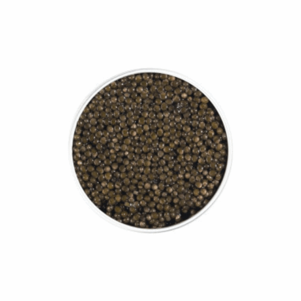 CAVAIR OSCIETRA SIGNATURE (50g)