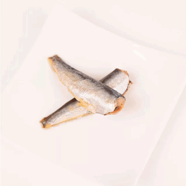 LITTLE SARDINE