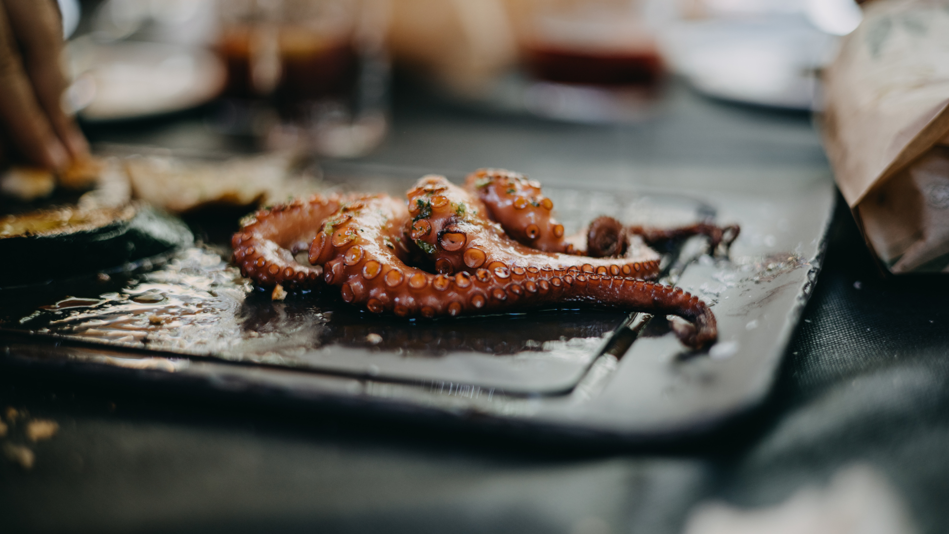 Grilled tentacle from spain