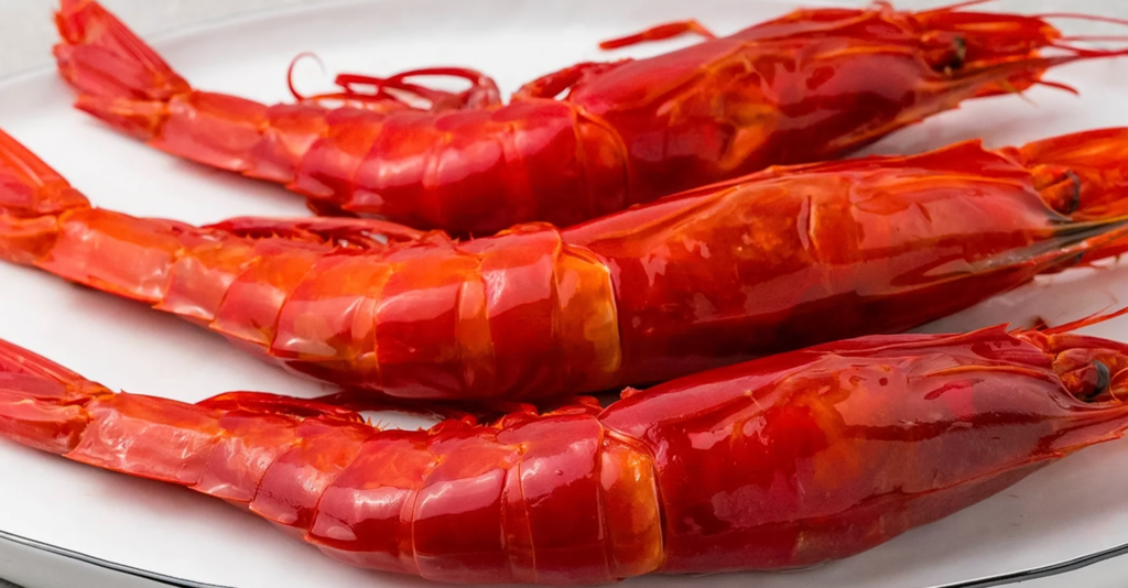 carabineros from spain