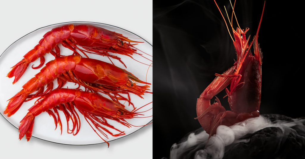 carabineros and mazara are difference type of red prawn