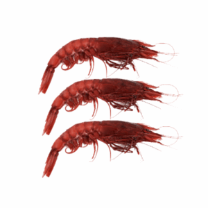 RED PRAWNS MAZARA (SIZE XL) 27-30pc (900g)