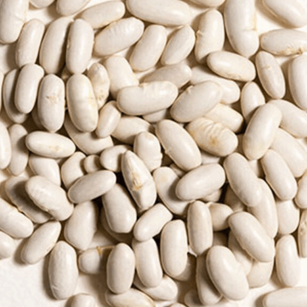 Cannellini Beans (500g) – Lucedio | Premium Italian Legumes