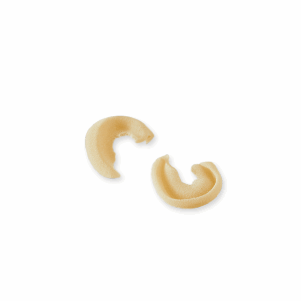 Orecchiette Napoletane 500g – Gentile | Premium Food Thailand