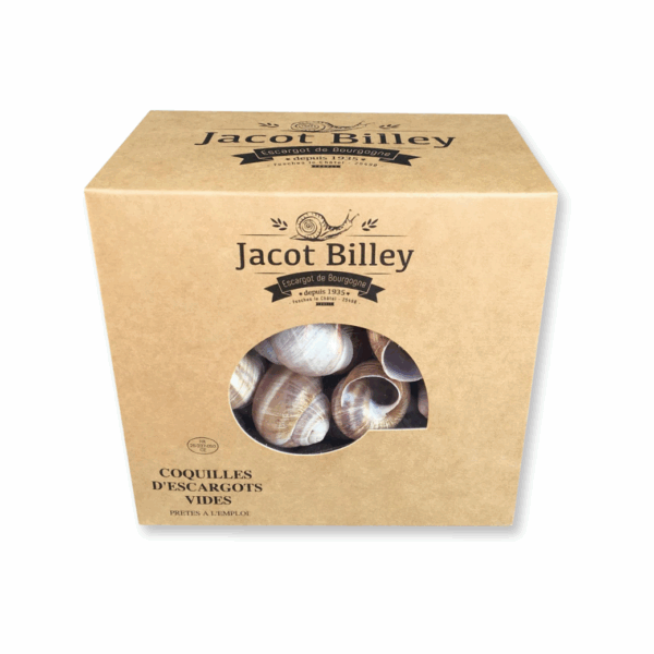 Large Empty Snail Shells (60 pcs) – From France | Premium Food TH