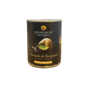 Snail Very large Burgundy / Escargot tres grosse